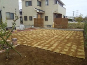 埼玉県坂戸市ＴＭ９芝張り工事　芝生の管理　芝生のお手入れ　伸びにくい芝　ＴＭ９専門店　作業後
